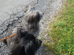 Obermaiselstein 2018 (11)